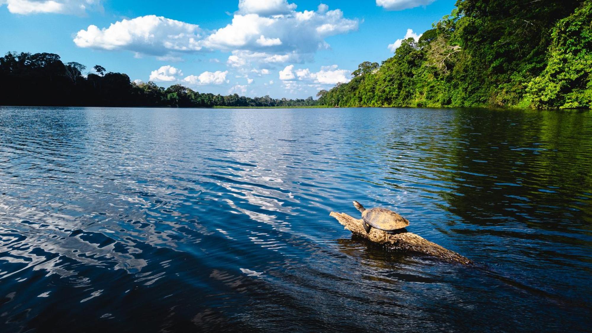 Tres Chimbadas Lake Lodge Tambopata Exterior foto